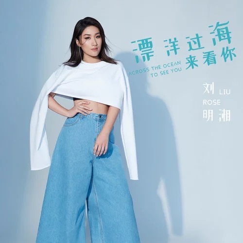 漂洋过海来看你 (DJ Aryiu版)