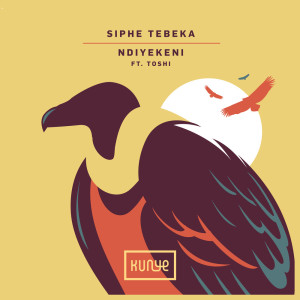 Listen to Ndiyekeni (Mozaïk Remix) song with lyrics from Siphe Tebeka
