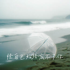 Album 怪自己始终忘不了你 from 夏心心
