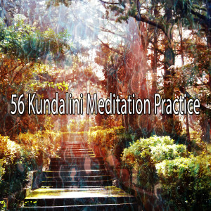 Listen to Restoration song with lyrics from Yoga Music