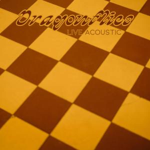 收聽Jason Wade的Dragonflies (Live Acoustic)歌詞歌曲