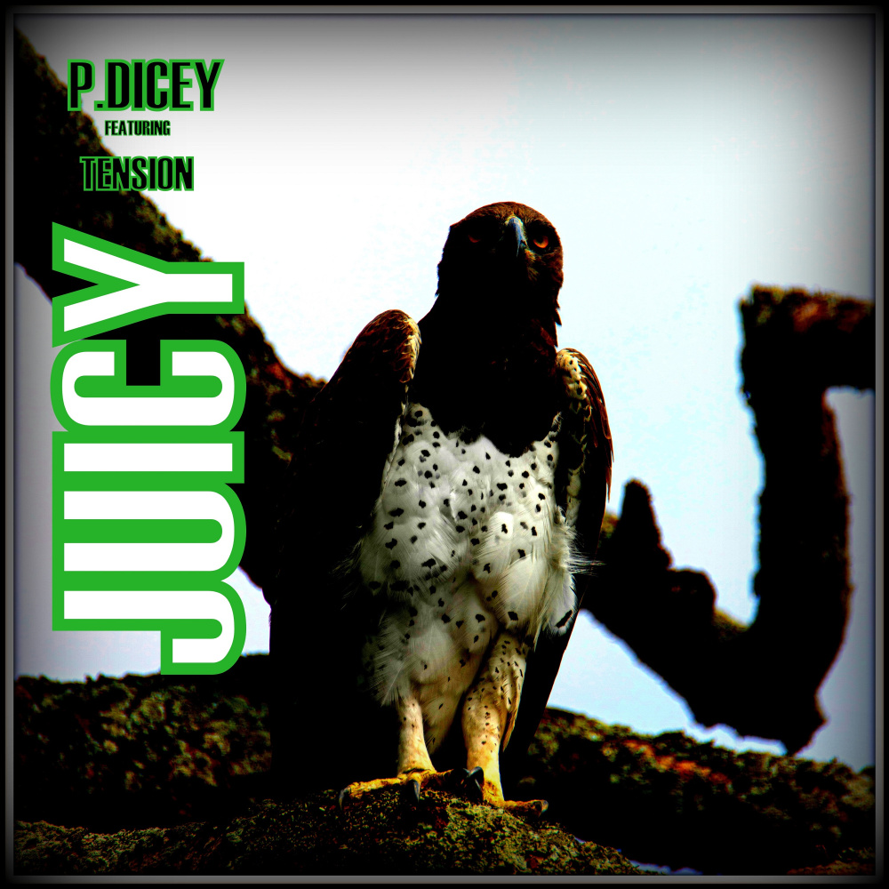 Juicy (Explicit)