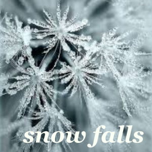 อัลบัม Snow Falls ศิลปิน Various Artists