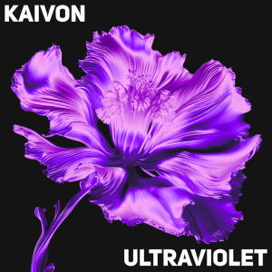 ดาวน์โหลดและฟังเพลง Pretty (Explicit) พร้อมเนื้อเพลงจาก Kaivon