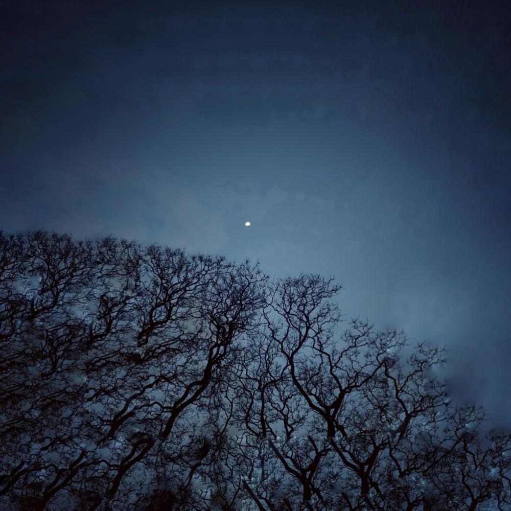 Luna Tucumana