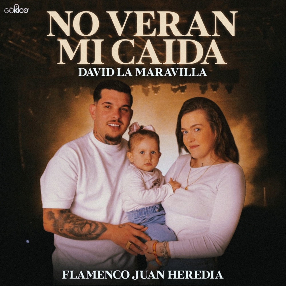 No Verán Mi Caída