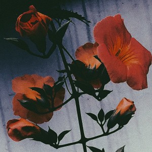 ดาวน์โหลดและฟังเพลง Blossom พร้อมเนื้อเพลงจาก june4047