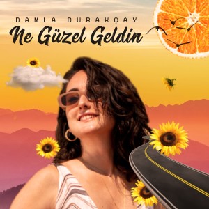 Damla Durakçay的專輯Ne Güzel Geldin