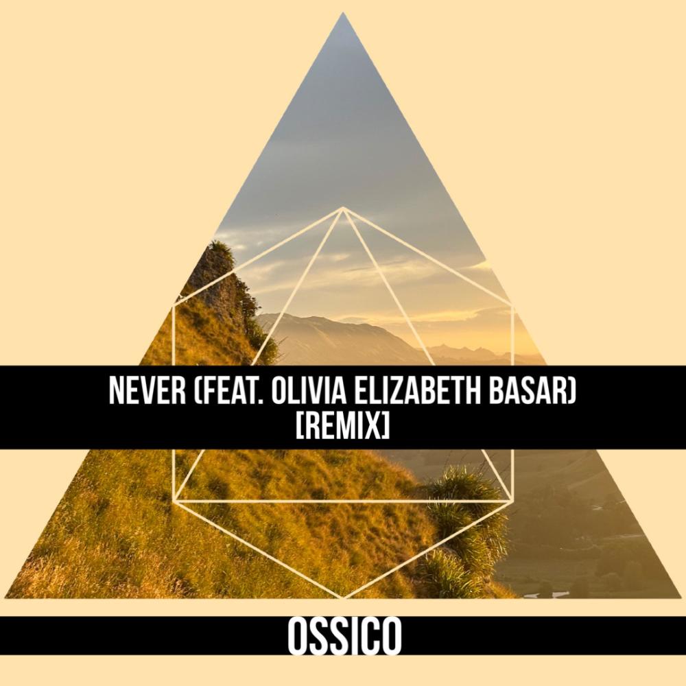 Never (feat. Olivia Elizabeth Basar) (Remix)