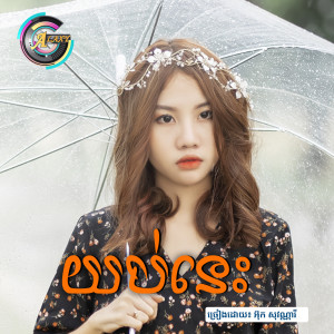 ดาวน์โหลดและฟังเพลง យប់នេះ พร้อมเนื้อเพลงจาก អ៊ុក សុវណ្ណារី