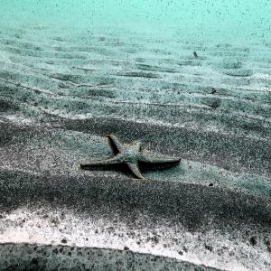 Listen to The Longest Day song with lyrics from Paul Anka