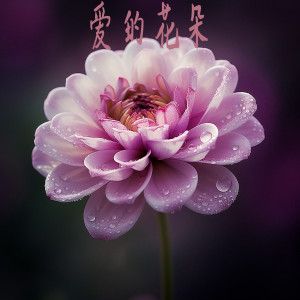 Listen to 盛开 song with lyrics from 江心