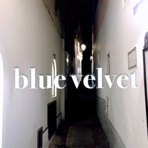 Blue Velvet的专辑blue velvet 2024