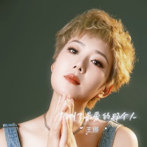 Album 删了最爱的那个人 from 王娜