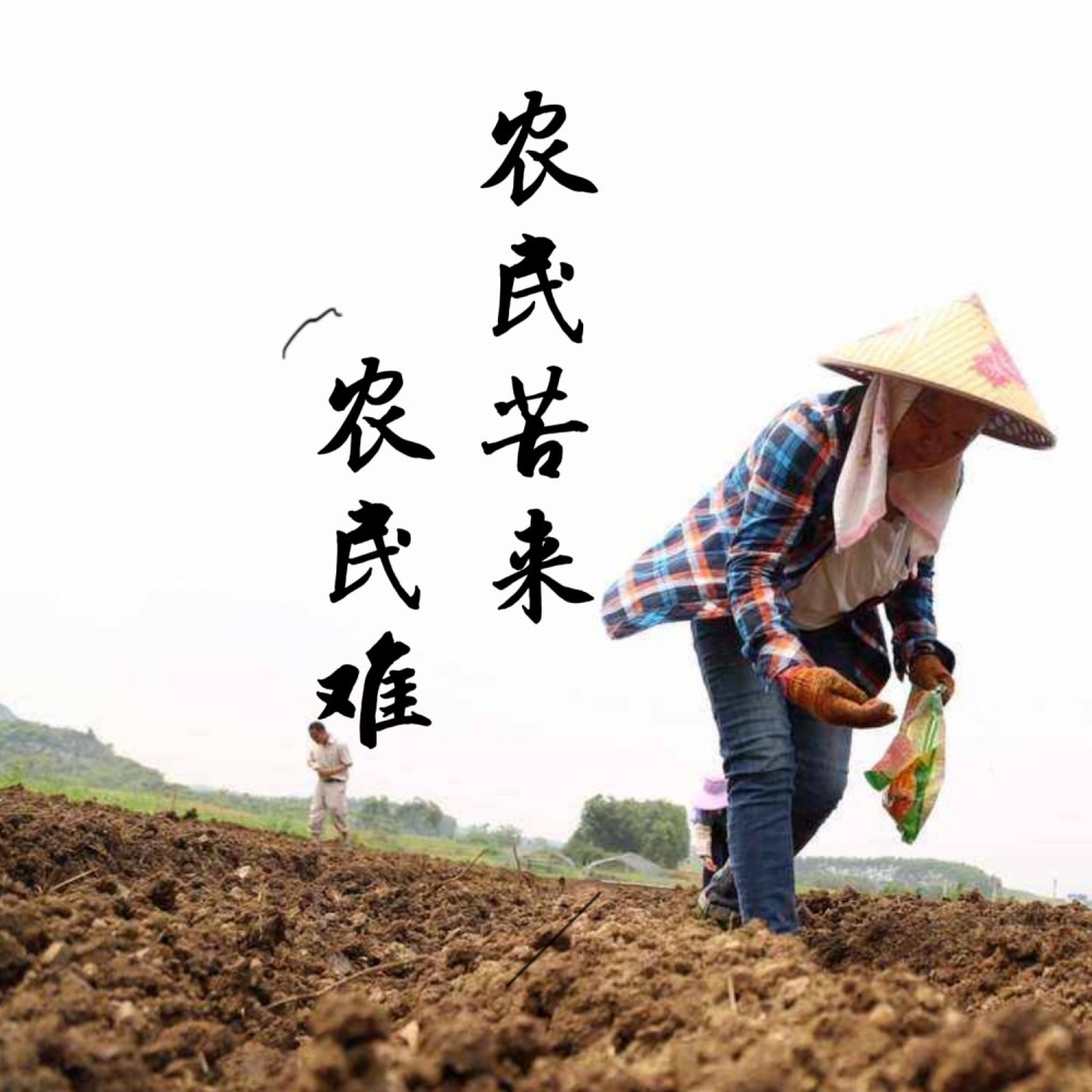 农民苦来农民难 (伴奏)