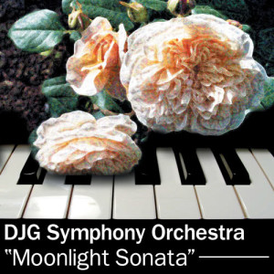 收聽DJG Symphony Orchestra的Moonlight Sonata歌詞歌曲