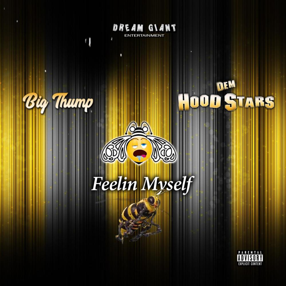 Feelin Myself (feat. Dem Hood Stars) (Explicit)