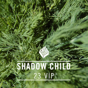 อัลบัม 23 VIP ศิลปิน Shadow Child