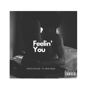 Steve Stylez的專輯Feelin' You (feat. Mike Rosa) [Explicit]