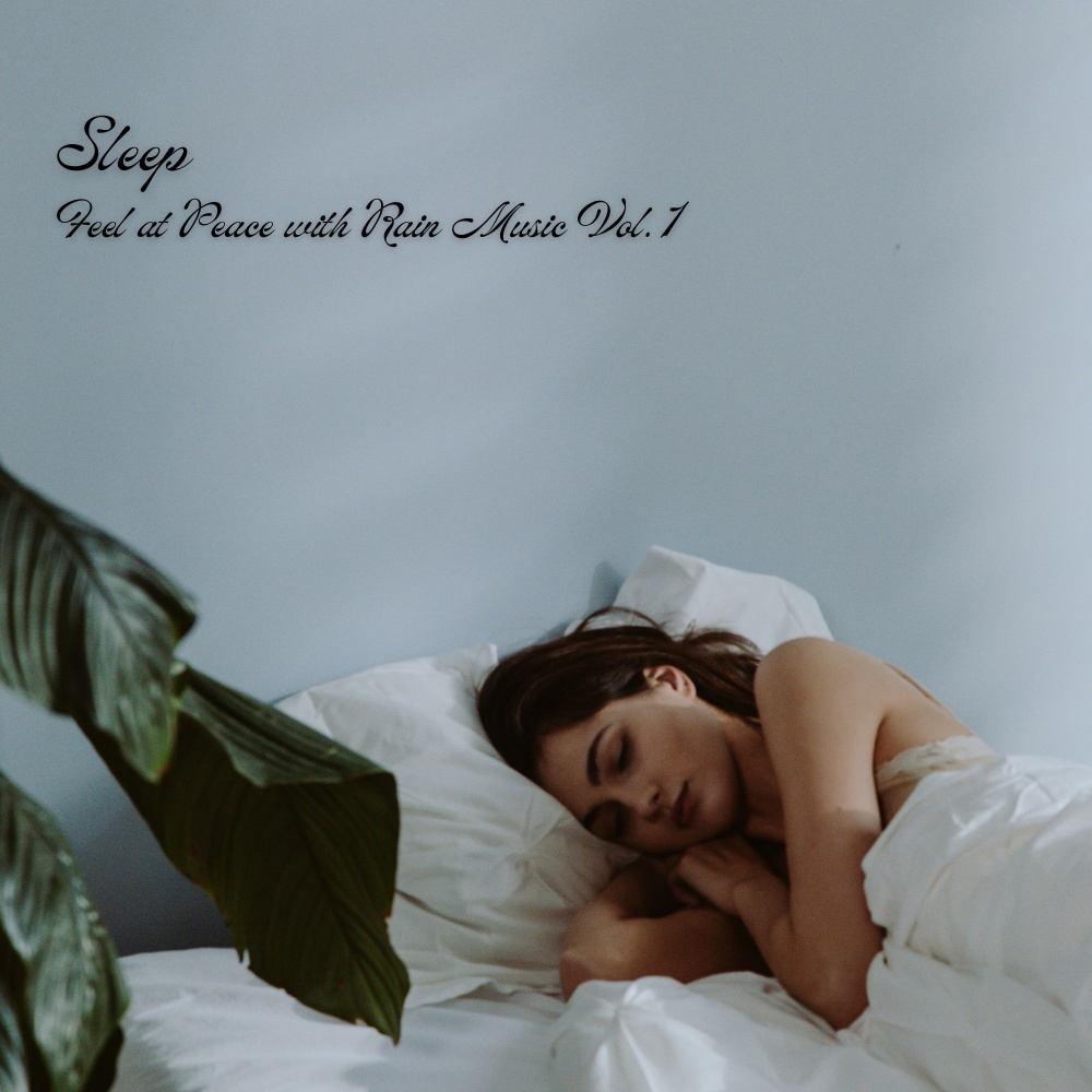 Sleepful Rain Noise