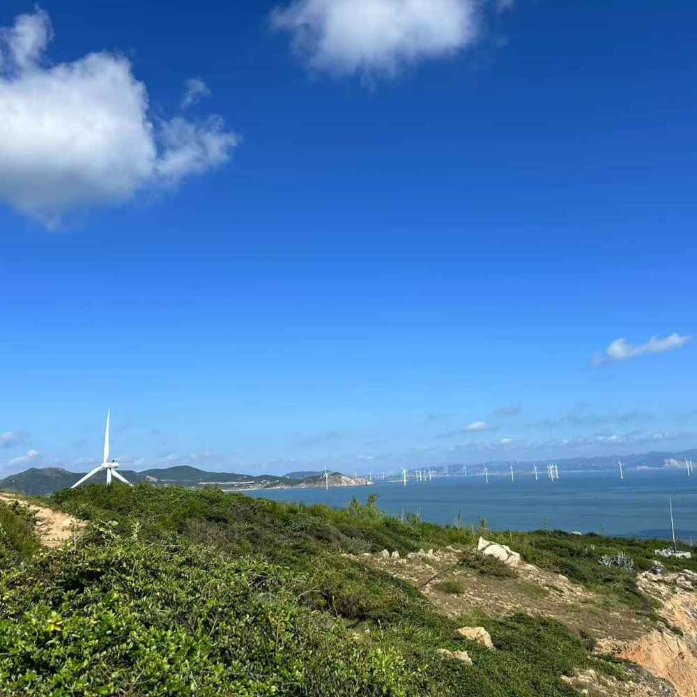 大田田
