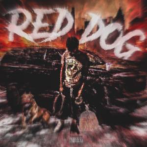 ดาวน์โหลดและฟังเพลง Red Dog (Explicit) พร้อมเนื้อเพลงจาก Quiet Child