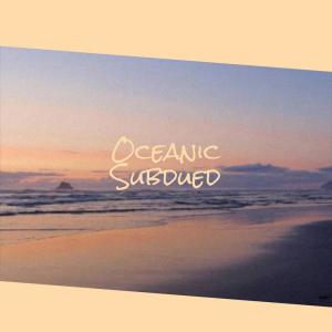 Listen to Oceanic Subdued song with lyrics from Romed Paal