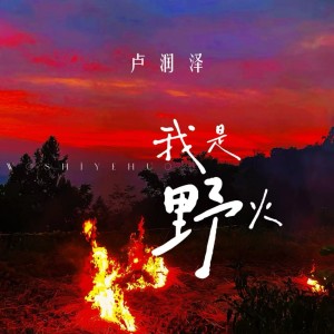 Album 我是野火 from 卢润泽