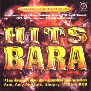 Various Artists的专辑Hits Bara