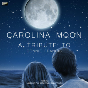 ดาวน์โหลดและฟังเพลง Tennessee Waltz พร้อมเนื้อเพลงจาก Ameritz Tribute Club