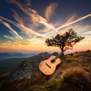 default playlist img