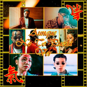 收聽Dany的Aunque No Te Pueda Ver歌詞歌曲