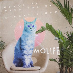 Listen to Sunday Bloom song with lyrics from Molife