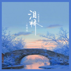Album 泪桥 from 杜宣达