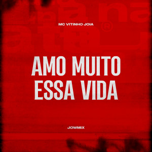 Listen to Amo Muito Essa Vida song with lyrics from MC Vitinho Jóia