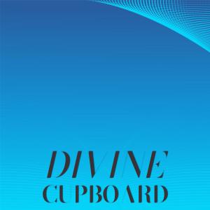 Listen to Divine Cupboard song with lyrics from Sigyn Siri