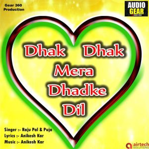 Dengarkan Dhak Dhak Mera Dhadke Dil lagu dari Raju Pal dengan lirik
