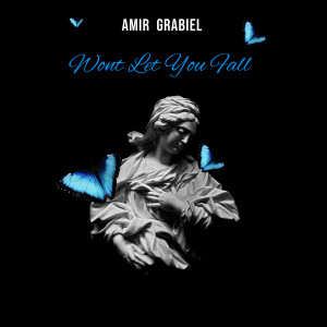 ดาวน์โหลดและฟังเพลง Wont Let You Fall พร้อมเนื้อเพลงจาก Amir Grabiel