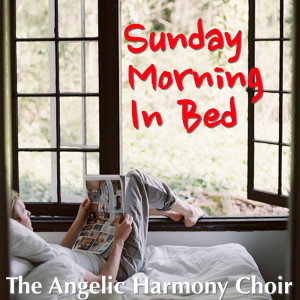 ดาวน์โหลดและฟังเพลง Mozart Allegro from Childrens Symphony พร้อมเนื้อเพลงจาก The Angelic Harmony Choir