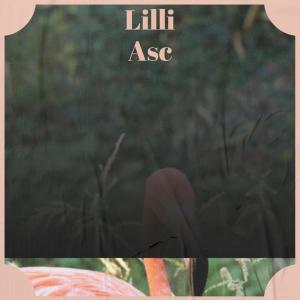 Album Lilli Asc oleh Various