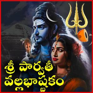 Album Parvati Vallabhastakam by CSR oleh OM HINDU FOUNDATION