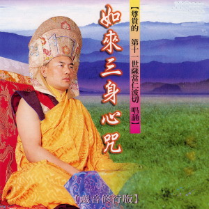 Listen to 如來三身心咒 (藏音修行版 尊贵的 第十一世萨当仁波切 唱诵) song with lyrics from 萨当仁波切