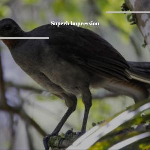 Dengarkan lagu Peninsula nyanyian Ches Harya dengan lirik