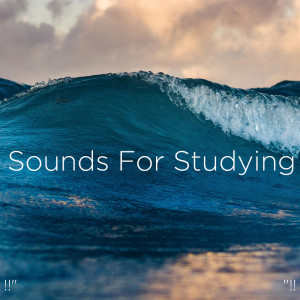 Album !!" Sounds For Studying "!! from Relajacion Del Mar