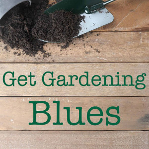 Listen to Working Man Blues song with lyrics from Floyd Council