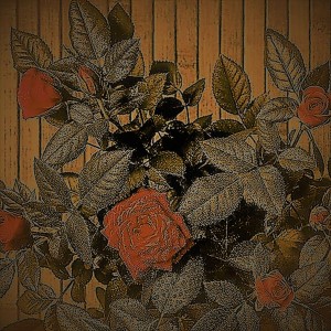 收聽DubluD的Claro de Luna歌詞歌曲