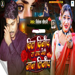 Listen to Dil Dijiye Ya Aap Meri Jaan Lijiye song with lyrics from Vivek Chaudhary