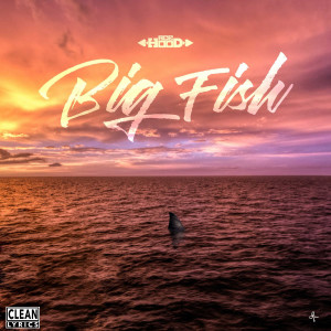 ดาวน์โหลดและฟังเพลง Big Fish (Explicit) พร้อมเนื้อเพลงจาก Ace Hood