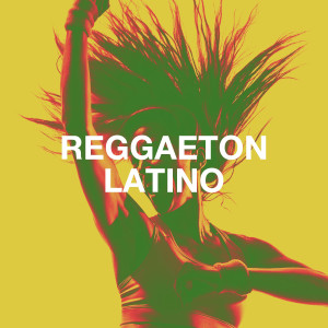 Reggaeton Caribe Band的专辑Reggaeton Latino
