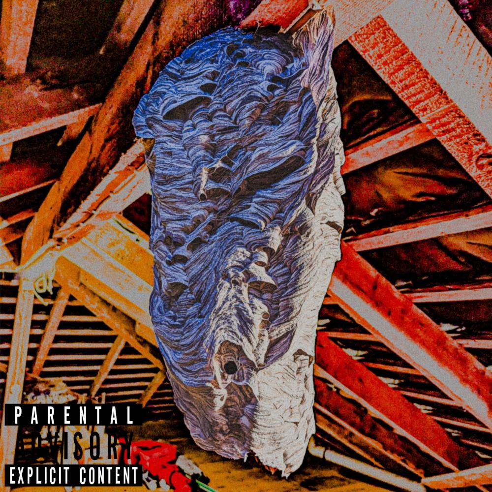 HORNETS NEST (Explicit)